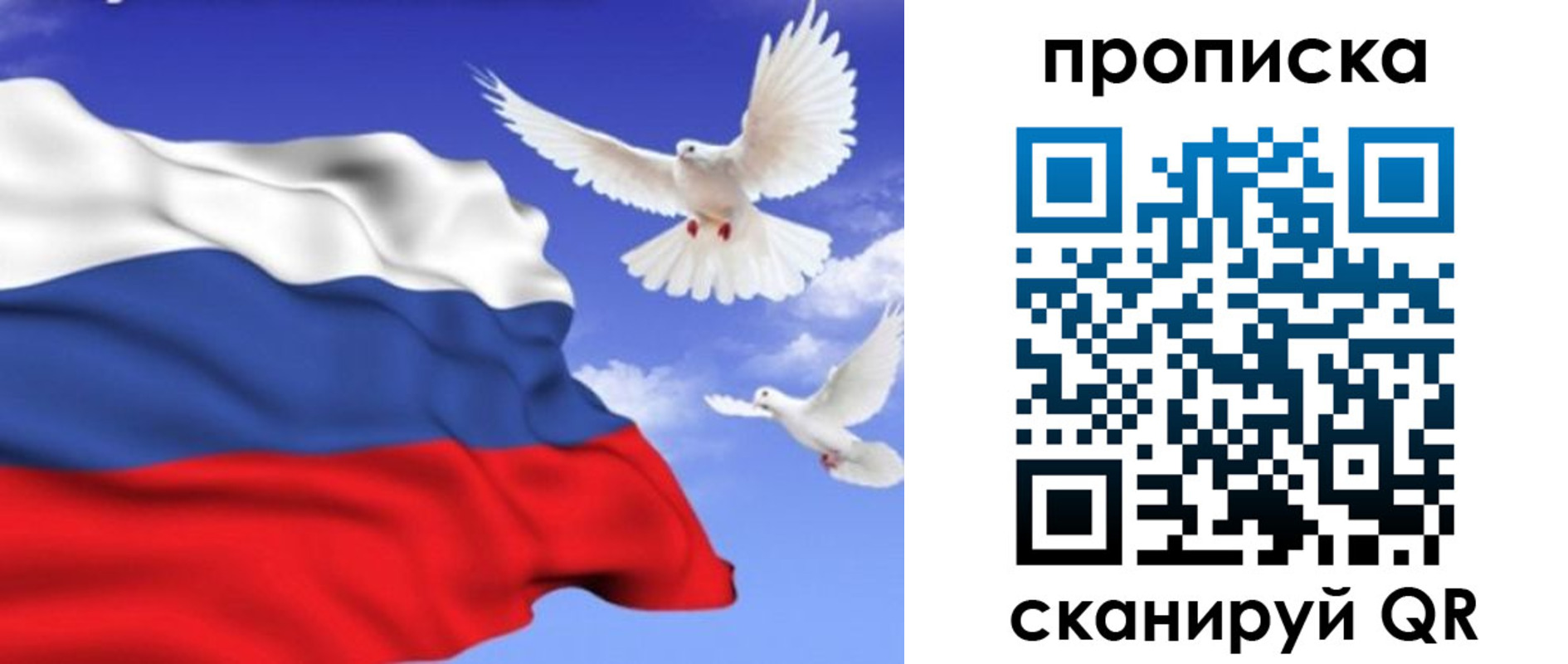 временная регистрация гарантия в Родниках